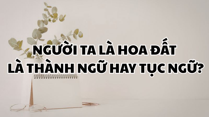 Người ta là hoa đất là thành ngữ hay tục ngữ?
