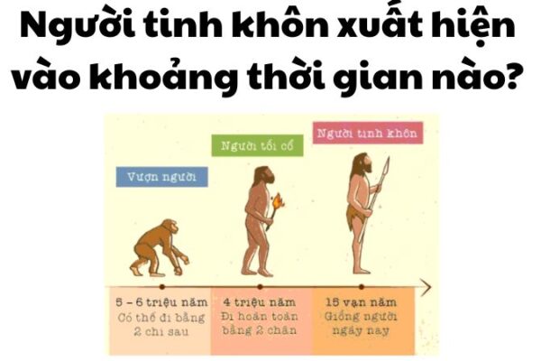 Người tinh khôn xuất hiện vào khoảng thời gian nào?