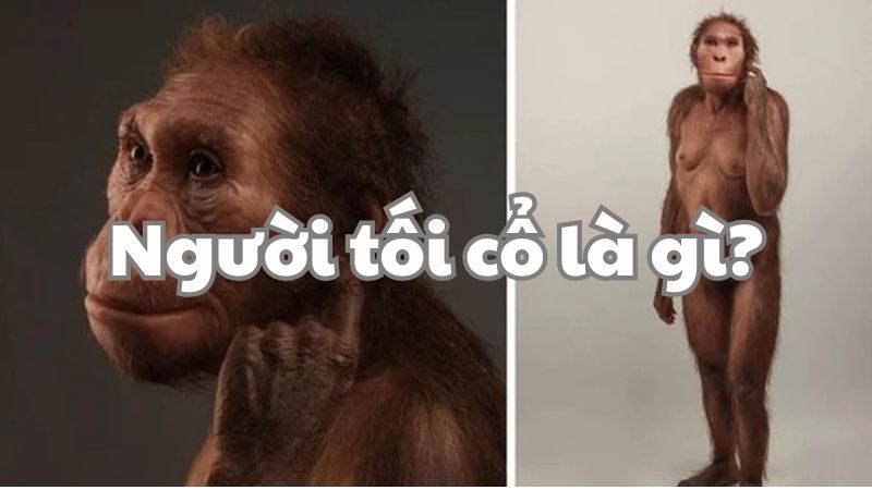 Người tối cổ là gì?