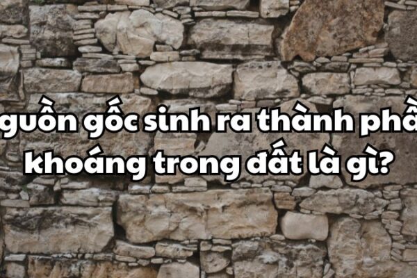 Nguồn gốc sinh ra thành phần khoáng trong đất là
