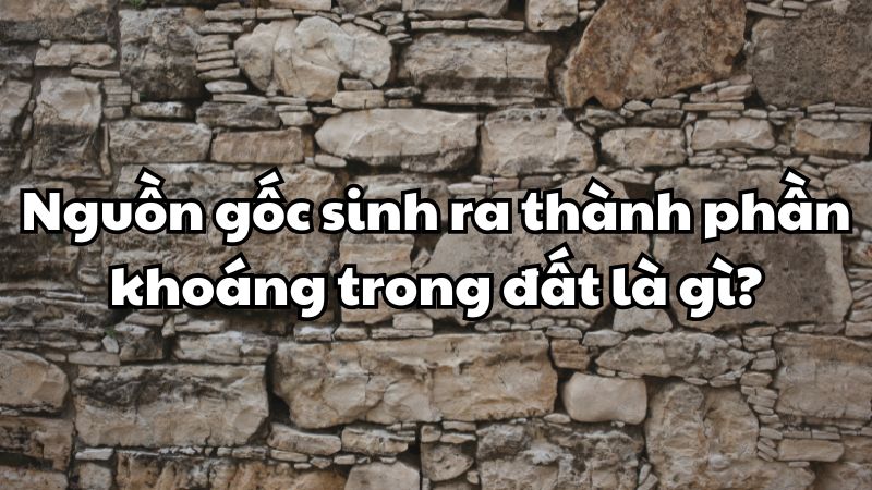 Nguồn gốc sinh ra thành phần khoáng trong đất là