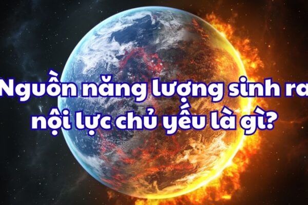 Nguồn năng lượng sinh ra nội lực chủ yếu là ?