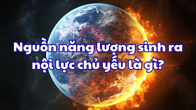 Nguồn năng lượng sinh ra nội lực chủ yếu là ?