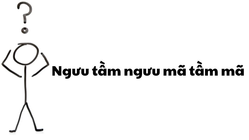 Ngưu tầm ngưu mã tầm mã