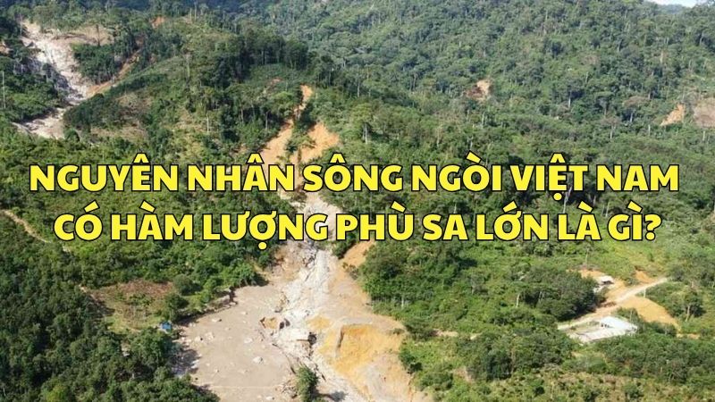 Nguyên nhân chủ yếu nào sau đây làm cho sông ngòi nước ta có hàm lượng phù sa lớn?