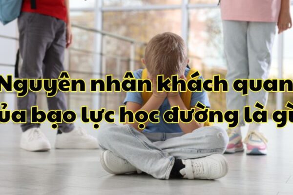 Nguyên nhân khách quan của bạo lực học đường là gì?