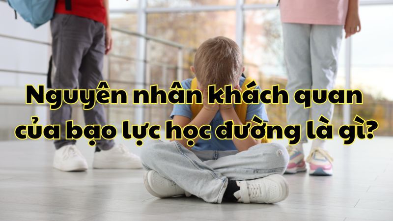 Nguyên nhân khách quan của bạo lực học đường là gì?