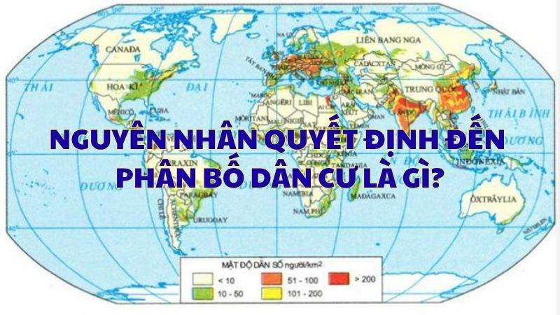 Nguyên nhân quyết định đến phân bố dân cư là gì?