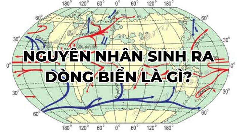 Nguyên nhân sinh ra dòng biển là gì?