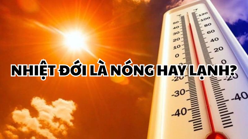 Nhiệt đới là nóng hay lạnh?
