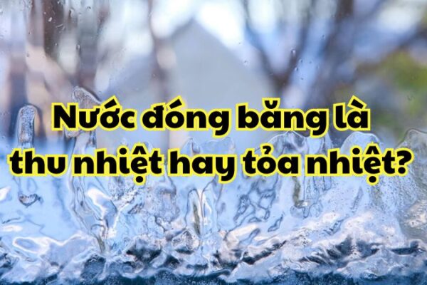 Nước đóng băng là thu nhiệt hay tỏa nhiệt?