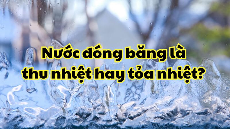 Nước đóng băng là thu nhiệt hay tỏa nhiệt?