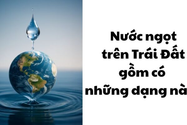 Nước ngọt trên Trái Đất gồm có