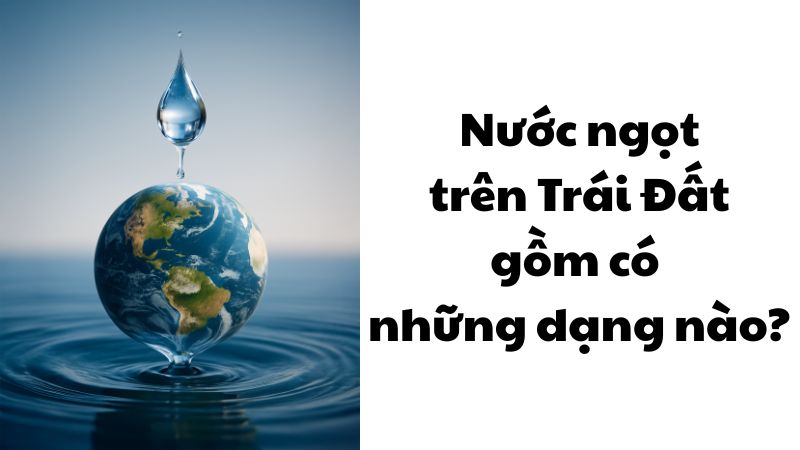 Nước ngọt trên Trái Đất gồm có