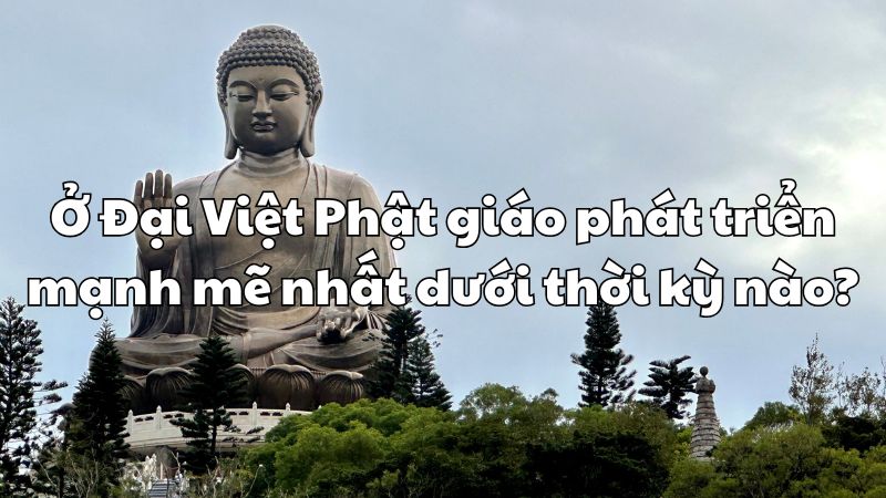 Ở Đại Việt Phật giáo phát triển mạnh mẽ nhất dưới thời kỳ nào?
