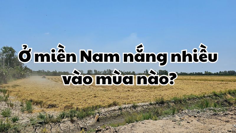 Ở miền Nam nắng nhiều vào mùa nào?