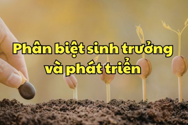 Phân biệt sinh trưởng và phát triển