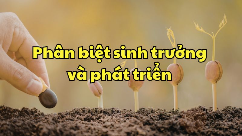 Phân biệt sinh trưởng và phát triển