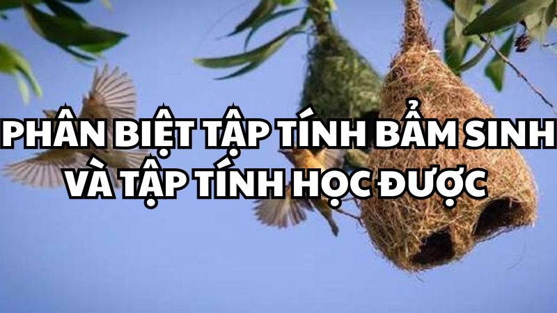 Phân biệt tập tính bẩm sinh và tập tính học được