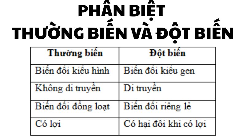 Phân biệt thường biến và đột biến
