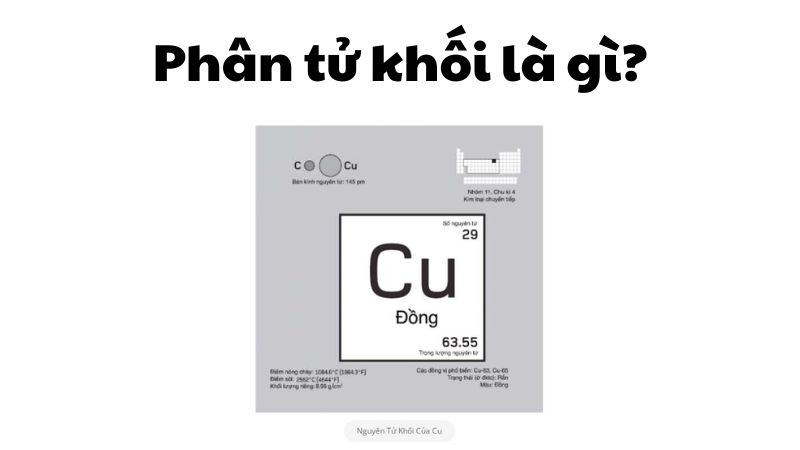 Phân tử khối là gì?