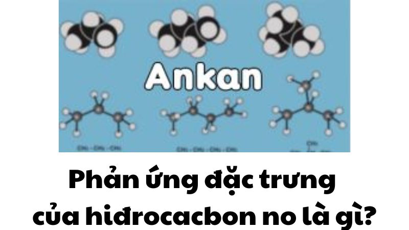Phản ứng đặc trưng của hiđrocacbon no là gì?