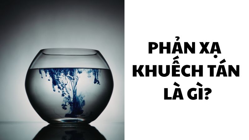 Phản xạ khuếch tán là gì?