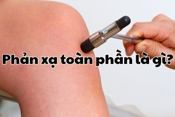 Phản xạ toàn phần là gì?