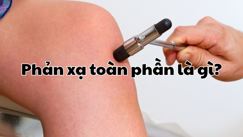 Phản xạ toàn phần là gì?