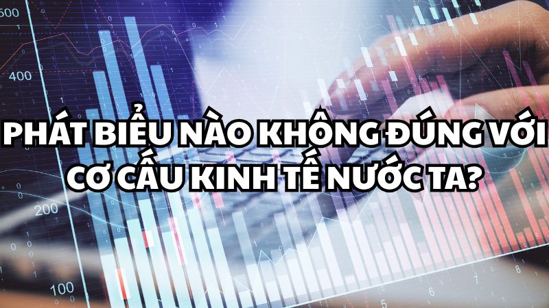 Phát biểu nào không đúng với cơ cấu kinh tế nước ta?