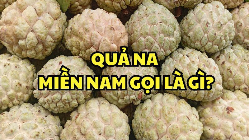 Quả na miền Nam gọi là gì?
