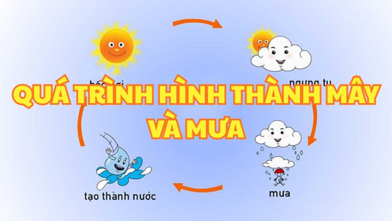 Quá trình hình thành mây và mưa