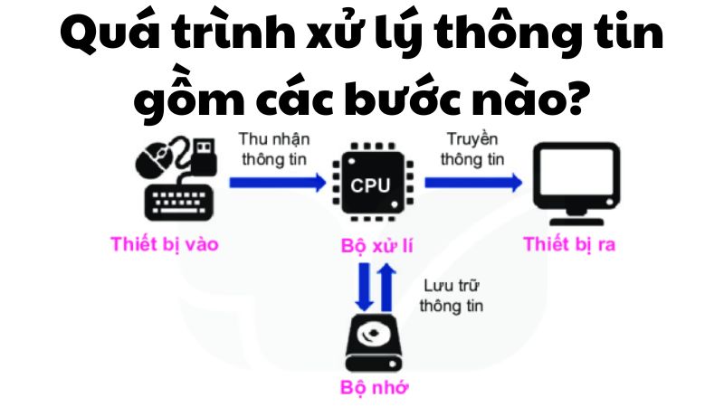 Quá trình xử lý thông tin gồm các bước nào?