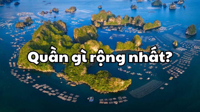 Quần gì rộng nhất?
