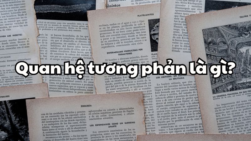 Quan hệ tương phản là gì?