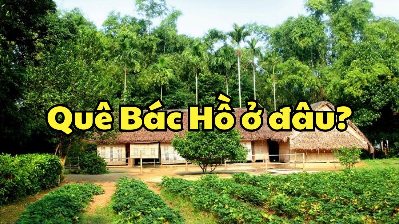 Quê Bác Hồ ở đâu?