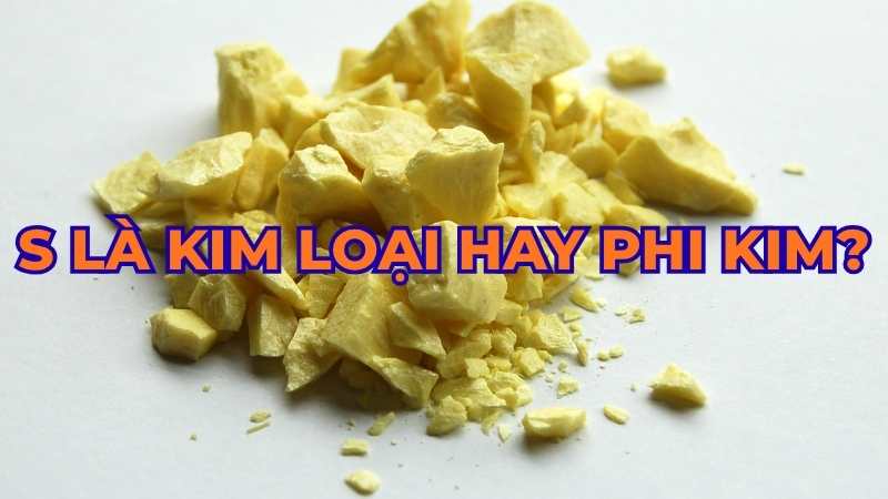 S là kim loại hay phi kim?