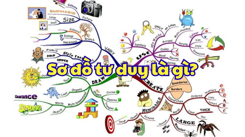 Sơ đồ tư duy là gì?