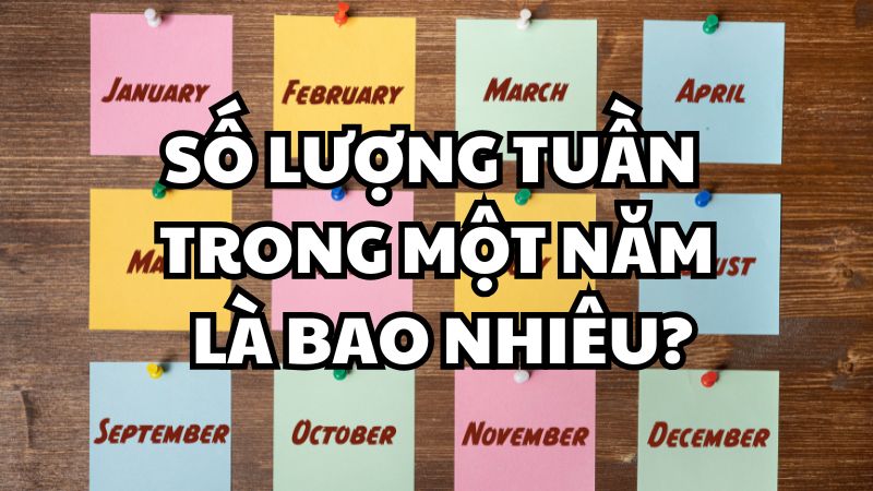 Số lượng tuần trong một năm là bao nhiêu?