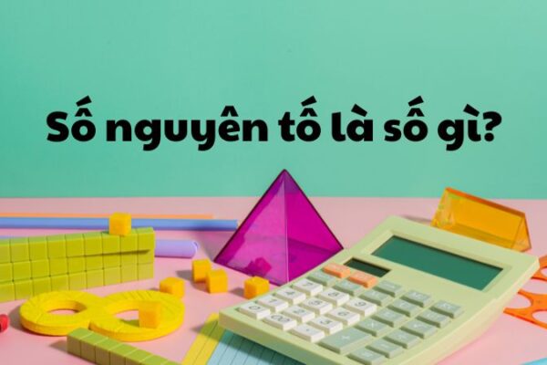 Số nguyên tố là số gì?