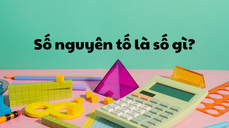 Số nguyên tố là số gì?