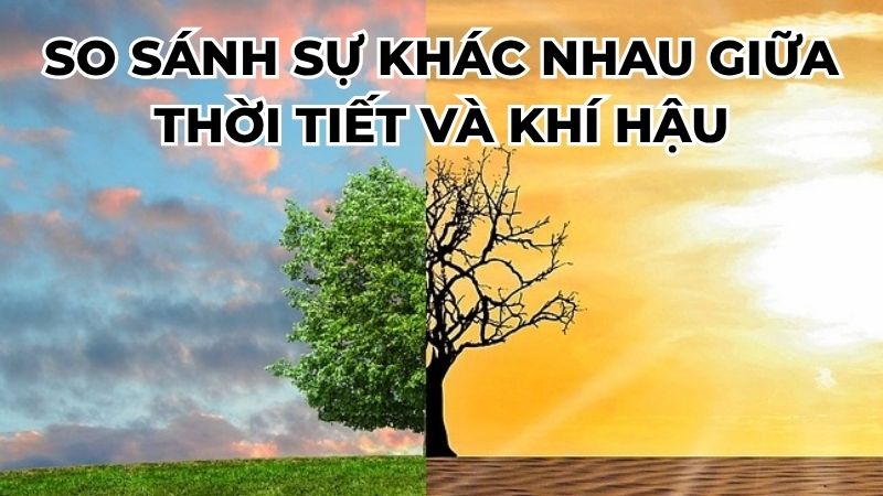 So sánh sự khác nhau giữa thời tiết và khí hậu