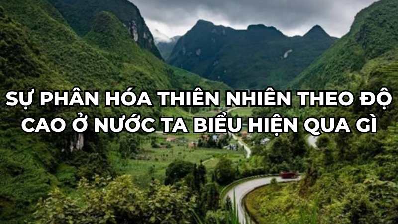 Sự phân hóa thiên nhiên theo độ cao ở nước ta biểu hiện qua các thành phần