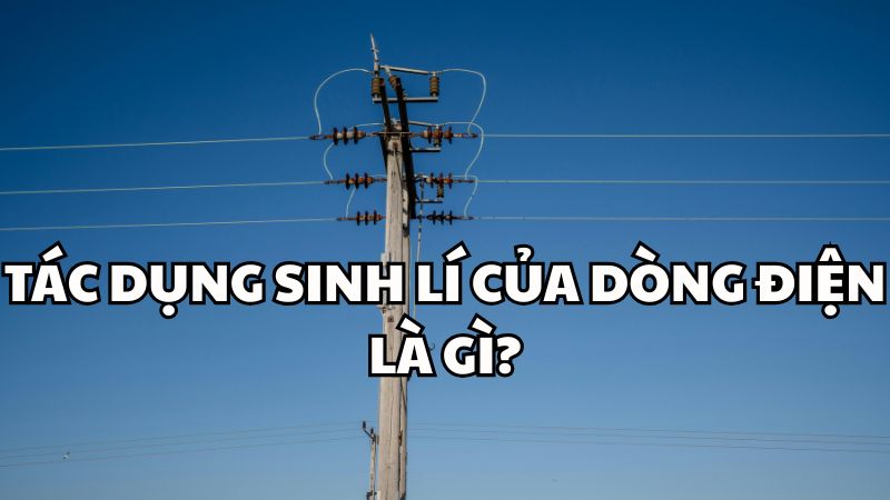 Tác dụng sinh lí của dòng điện là gì?