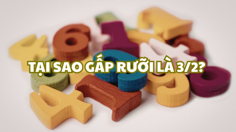 Tại sao gấp rưỡi là 3/2?