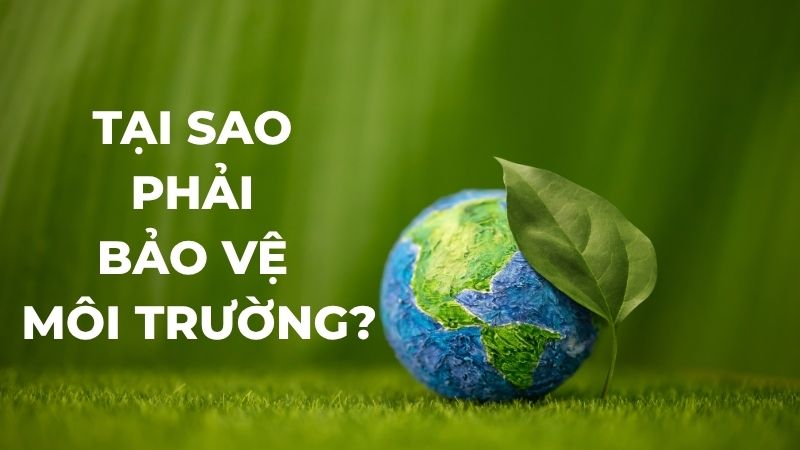 Tại sao phải bảo vệ môi trường?