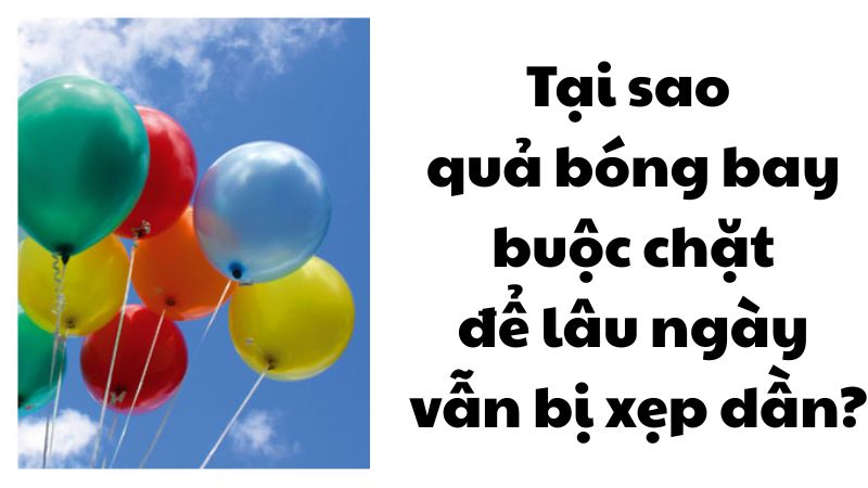 Tại sao quả bóng bay buộc chặt để lâu ngày vẫn bị xẹp dần?