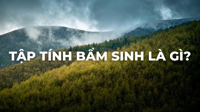 Tập tính bẩm sinh là gì?