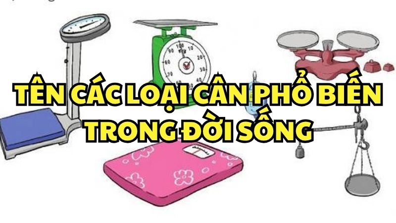 Tên các loại cân phổ biến trong đời sống