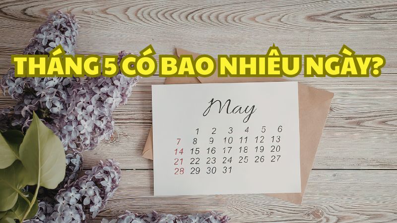 Tháng 5 có bao nhiêu ngày?